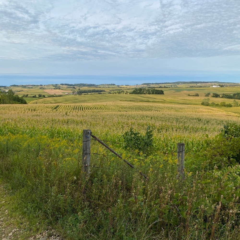 Meet your Posher, Travis